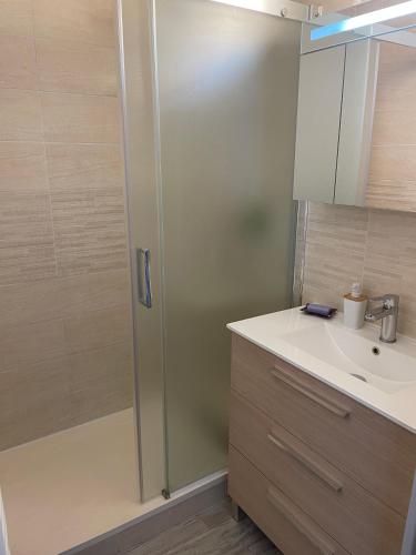 une salle de bain avec douche et lavabo dans l'établissement Bel appartement à Hyeres centre 2 à 3 personnes, à Hyères
