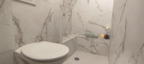 a bathroom with a white toilet and a marble wall at PARIS AUTHENTIC HOUSE open space studio Métro 14 Hôpital Bicêtre, RER B Gentilly in Gentilly