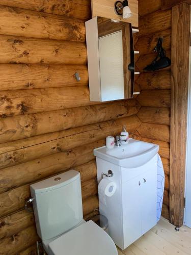 a bathroom with a white toilet and a sink at Mājīga guļbūve pie jūras! in Bigauņciems