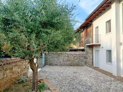 a tree in front of a stone wall at Casa Martina, Confort e Relax a due passi da Cividale in Cividale del Friuli
