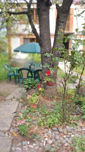 a tree with flowers and a table and a bench at Hayk in Sanain