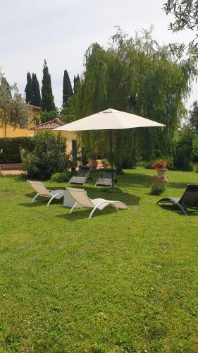 a group of chairs and an umbrella in the grass at Family and view in Scandicci