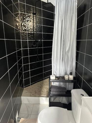 une salle de bain avec des toilettes blanches et une douche dans l'établissement Studio Montreuil, à Montreuil