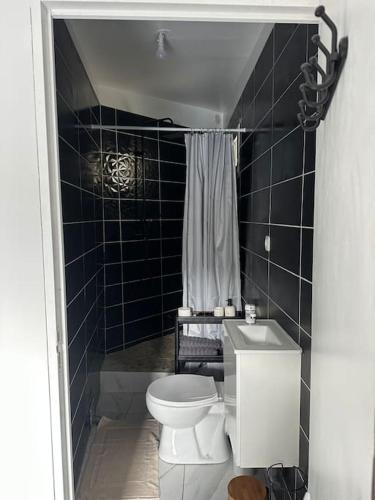 La salle de bains est pourvue de carrelage noir, de toilettes et d'un lavabo. dans l'établissement Studio Montreuil, à Montreuil