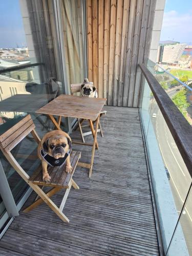 a dog sitting on a chair next to a table on a balcony at Benji & Milos Apartments in Belfast