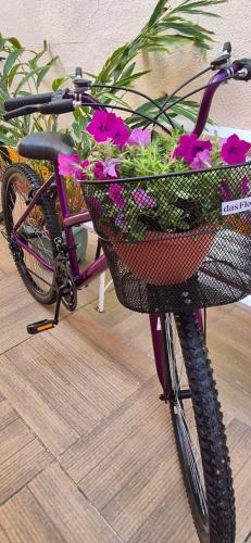 Berbasikal di atau sekitar Pousada Das Flores