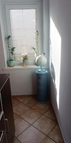 a room with a window with potted plants on a dresser at Ночлеги - HOSTEL in Tarnowo Podgórne