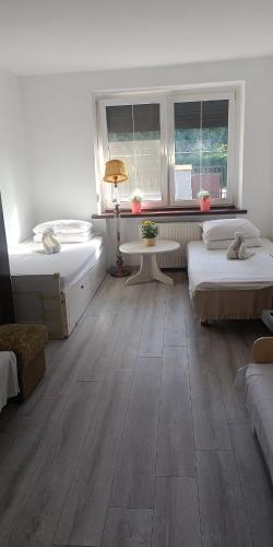 a room with two beds and a table and windows at Ночлеги - HOSTEL in Tarnowo Podgórne