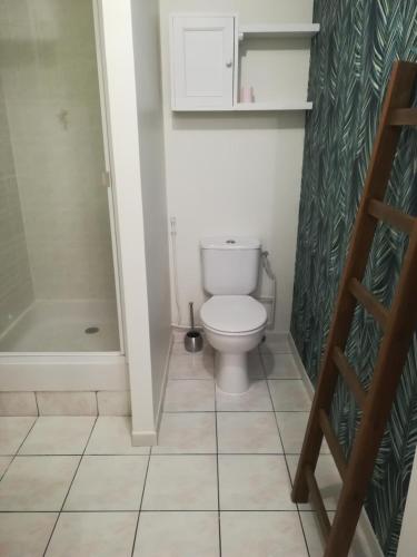 une petite salle de bain avec toilettes et douche dans l'établissement studio coeur de ville, à La Flèche