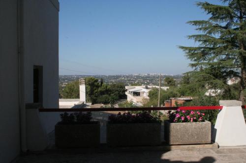Gambar di galeri bagi Casa Vacanza Trulli Nonno Magno di Martina Franca