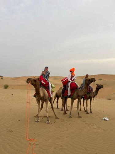 a group of people riding camels in the desert at Marigold Home Stay in Jaisalmer