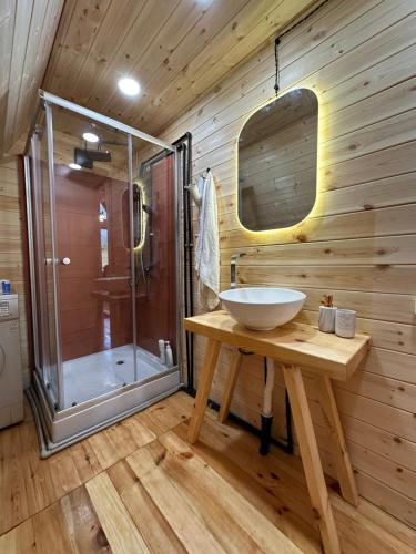 a bathroom with a sink and a shower at Shoda Valley შოდა ველი in Oni