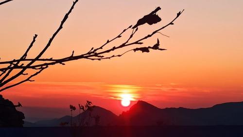 a sunset with birds sitting on a tree branch at Nemrut Tarihi Hotel in Karadut