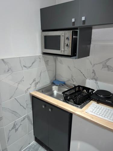 a kitchen with a sink and a microwave at Le Darcy in Dijon