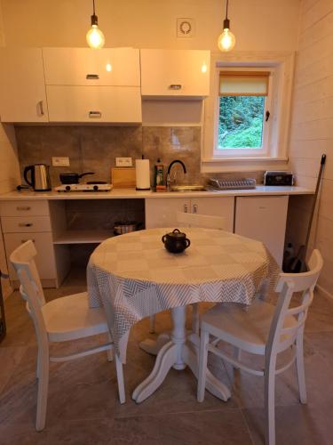 a kitchen with a table with chairs and a kitchen counter at Młynówka in Przesieka