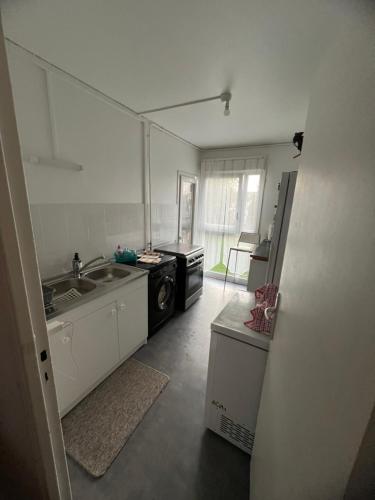 une cuisine avec un évier et une cuisinière dans l'établissement Spacieux Appartement Persan, à Persan