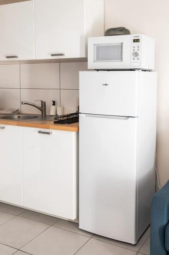 Elle comprend un réfrigérateur blanc et un four micro-ondes. dans l'établissement Appartement F2 proche Disneyland, à Chaumes-en-Brie