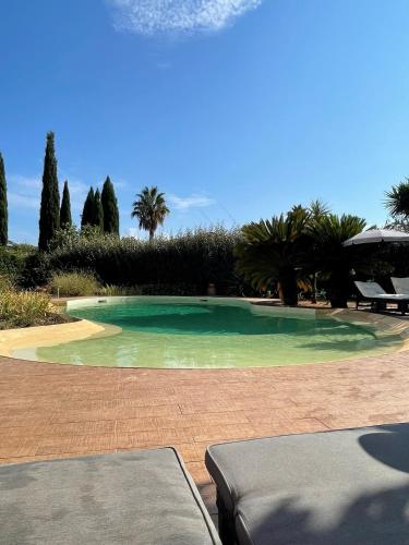 a swimming pool in a yard with palm trees at Le Vieux Murier - Chambres d'hôte in Hyères