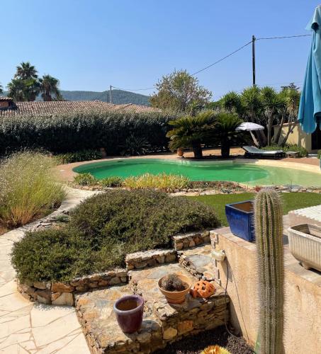 a garden with a cactus and a pool of water at Le Vieux Murier - Chambres d'hôte in Hyères