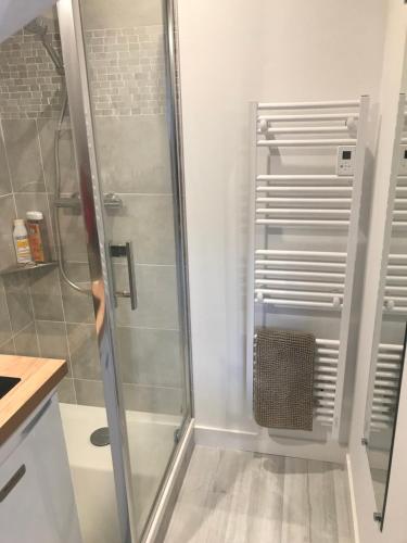 une douche avec une porte vitrée dans une salle de bain dans l'établissement Studio dans les pins à 2 pas de la plage, au Pouliguen