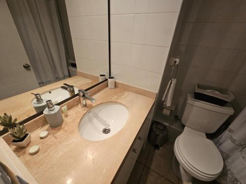 a bathroom with a sink and a toilet at Maravilloso Departamento- Sector Sur-1Hab-1 Baño in Antofagasta