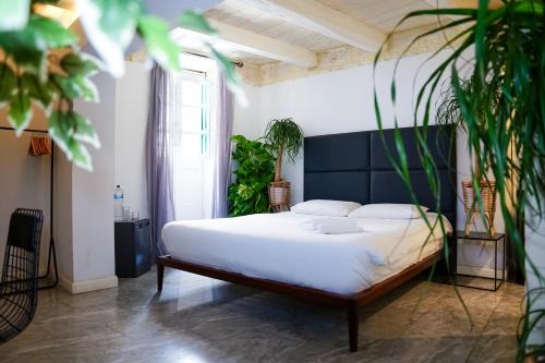 Cama o camas de una habitación en Valhalla Boutique Hotel