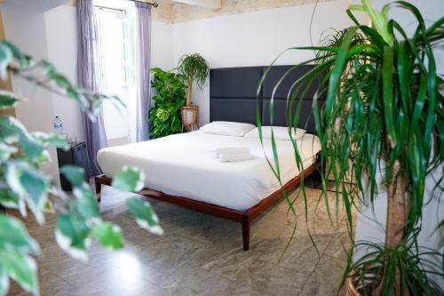 Cama o camas de una habitación en Valhalla Boutique Hotel
