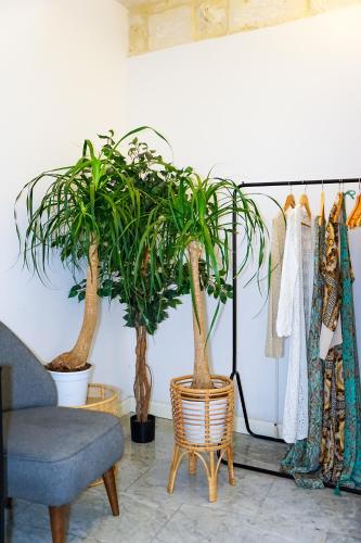 Imagen de la galería de Valhalla Boutique Hotel, en La Valeta
