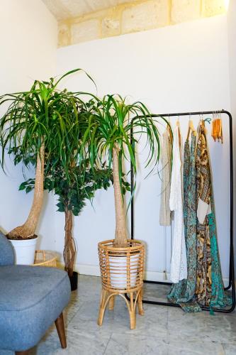 Imagen de la galería de Valhalla Boutique Hotel, en La Valeta
