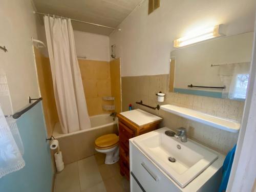 une salle de bain avec un lavabo, des toilettes et une douche dans l'établissement Studio cabine 20m², 4 pers, proche commerces, balcon, parking - FR-1-758-32, aux Angles