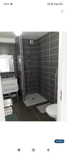 une salle de bain avec une douche avec des toilettes et un lavabo dans l'établissement 2 pièces terrasse vue mer, piscine, parking, à Sainte-Maxime