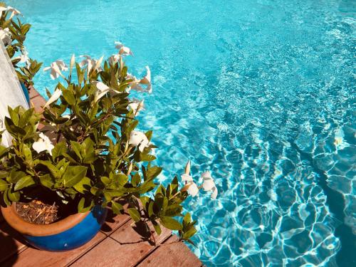 Fotografia z galérie ubytovania Villa Azur v destinácii La Cadière-dʼAzur