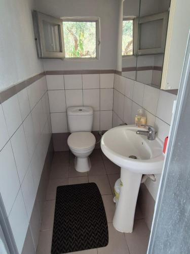 a small bathroom with a toilet and a sink at Villa Nikos in Nea Plagia