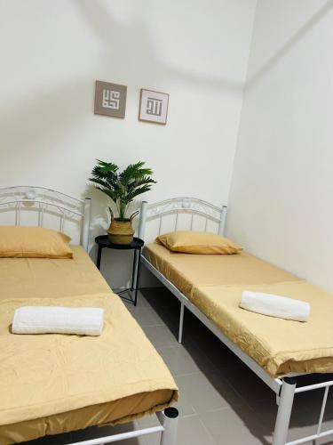 two beds in a room with a potted plant at Casa Kita Homestay in Bandar Baharu