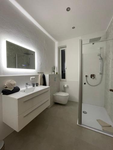 a bathroom with a sink and a toilet and a shower at aus-ZEIT Apartments in Amberg