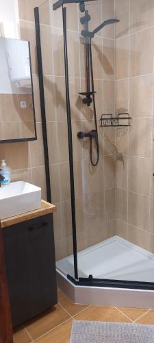 a shower in a bathroom with a sink at PEGAZOWA WOLA CISNA in Cisna