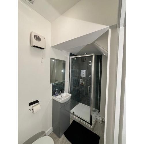 a bathroom with a toilet and a sink and a shower at Modern 1 Bedroom Apartment with Free Parking Near the M6 and Birmingham in Wednesbury