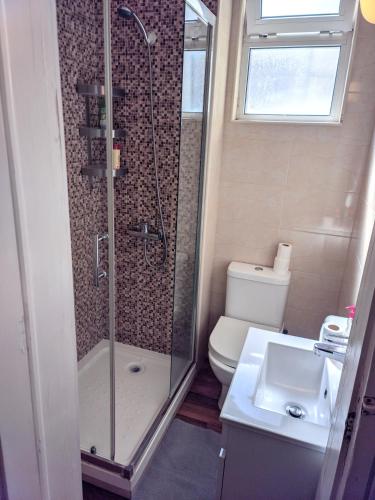 a bathroom with a shower and a toilet and a sink at PARAISO Da PENHA in Lisbon