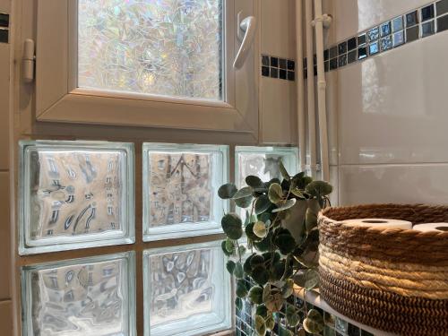 La salle de bains est pourvue d'une fenêtre et d'une plante en pot. dans l'établissement Charmant studio parisien au cœur du 15e arrondissement, à Paris