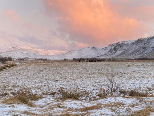 a snowy field with snow covered mountains in the background at Broddaborg Apartments in Ölfus