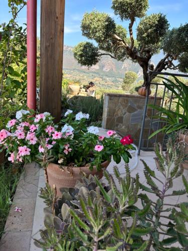 a garden with pink flowers and a wooden pole at B&B CASA MARTINA in Giungano