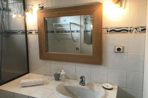 une salle de bain avec un lavabo, un miroir et une douche dans l'établissement La Maison des Pêcheurs, au pied du lac, à Saint-Jorioz