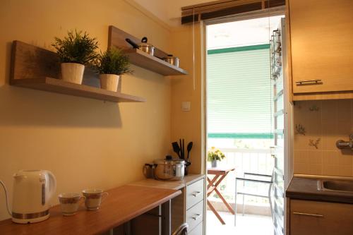 Dapur atau dapur kecil di Evoikos Bay Balcony