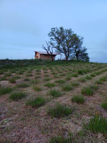 Imagen de la galería de Glamping Podere Angiotto LODGE MONTIANO, en Magliano in Toscana