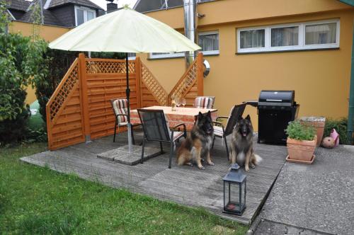 two dogs standing next to a table with an umbrella at Ferienhaus Gansbach in Gansbach