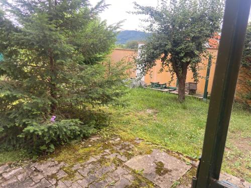 a view of a tree in a yard at Ferienhaus Gansbach in Gansbach