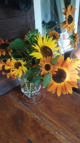 a bouquet of sunflowers in a vase on a table at agrohaczów zarzeką apartament pod orzechem in Haczów
