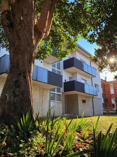an apartment building with a tree in front of it at Casa Felicità in Udine
