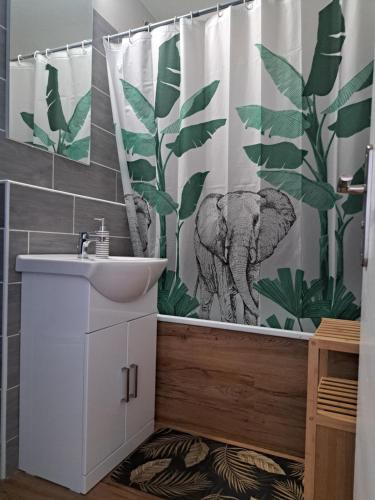 une salle de bain avec un lavabo et un rideau de douche dans l'établissement Appartement Cosy à Ales aux pieds des Cévennes, à Alès