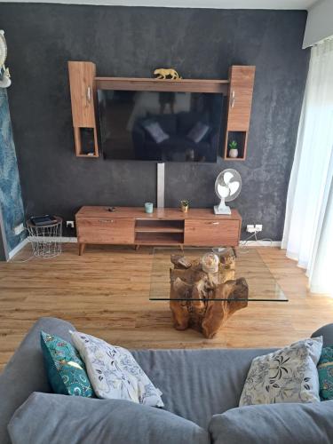 un salon avec un canapé et une télévision à écran plat dans l'établissement Appartement Cosy à Ales aux pieds des Cévennes, à Alès